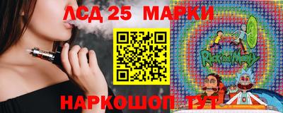шишки Кандалакша