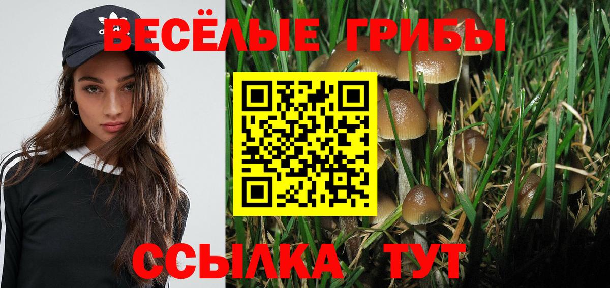 Кудымкар  Псилоцибиновые грибы Cubensis  Вход с VPN 